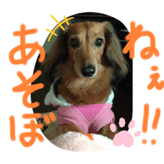[LINEスタンプ] れいちゃんなのよーん