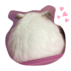[LINEスタンプ] ジャンガリアンのりぼんちゃん2