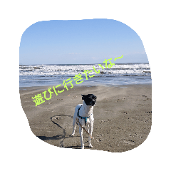 [LINEスタンプ] 呟くなゆた