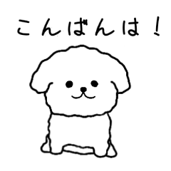 [LINEスタンプ] 白いもふもふトイプードルスタンプ