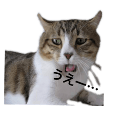 [LINEスタンプ] ^ω^）