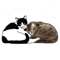 [LINEスタンプ] 猫のたーちゃん・ちーちゃん