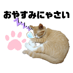 [LINEスタンプ] リンちゃんのスタンプ03