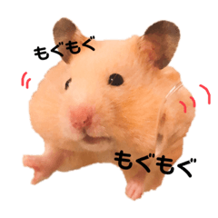 [LINEスタンプ] 砂川家のきなこさん