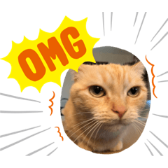 [LINEスタンプ] はなちゃんの独り言