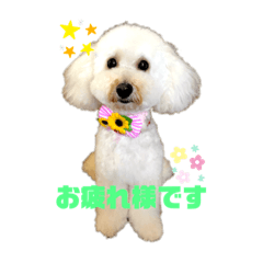 [LINEスタンプ] 野田モモしゃんスタンプ1