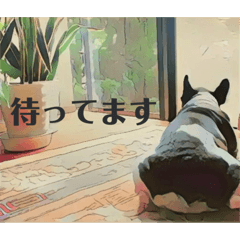 [LINEスタンプ] 破天荒犬 さくら