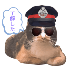 [LINEスタンプ] 猫のミーヤ