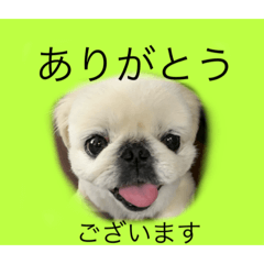 [LINEスタンプ] 麻弐マニ 仕事一番   2