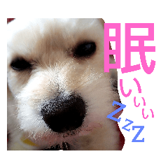 [LINEスタンプ] じじとうぃる