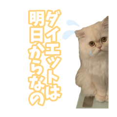 [LINEスタンプ] ぬぬむむだよ