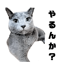 [LINEスタンプ] ぐりのきもち