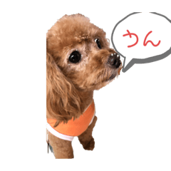 [LINEスタンプ] potemiの愛犬2