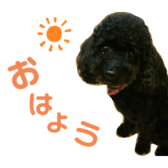 [LINEスタンプ] とこあんず