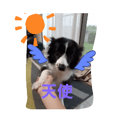 [LINEスタンプ] Jじぇい