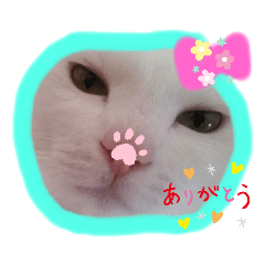 [LINEスタンプ] ウォーターリリーの仲間たちnew