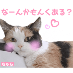 [LINEスタンプ] ちゅらのキモチ♡