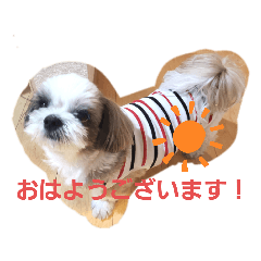 [LINEスタンプ] ウェルちゃんスタンプ