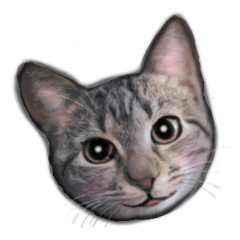 [LINEスタンプ] 毎日が猫 マンチカン