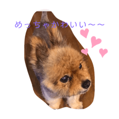 [LINEスタンプ] ポコポコポッピンシャン