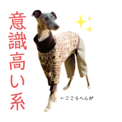 [LINEスタンプ] イッヌと。3