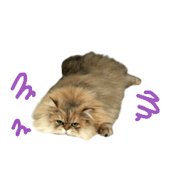 [LINEスタンプ] 家の猫 ルチルとラズリィ