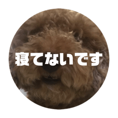 [LINEスタンプ] イッヌフレンズ3