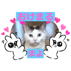 [LINEスタンプ] わしのスタンプなのだ！