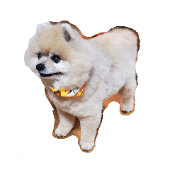 [LINEスタンプ] プリンスポメ