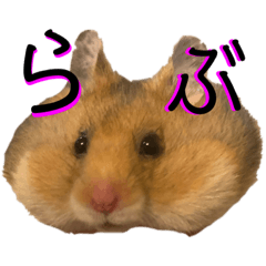 [LINEスタンプ] ハムスターのらぶちゃんスタンプ♡