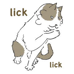 [LINEスタンプ] ノラのブッチ がやって来た！（英語版）