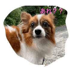 [LINEスタンプ] ジャックくん！