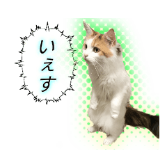 [LINEスタンプ] おべべべべ2