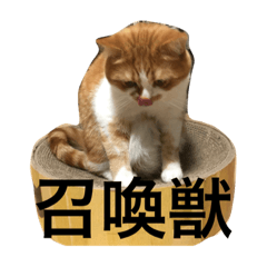 [LINEスタンプ] きなりとすけろくのサイコースタンプ