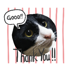[LINEスタンプ] あnag