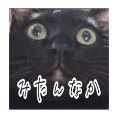 [LINEスタンプ] 泥棒シエルくん