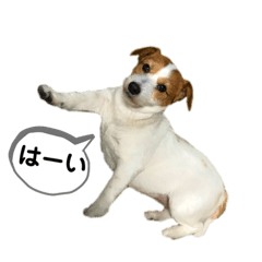 [LINEスタンプ] みんなのサティ2