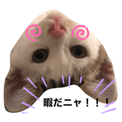 [LINEスタンプ] うちのタラトロ①