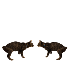 [LINEスタンプ] むぎねこ2