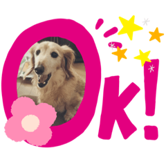 [LINEスタンプ] らっきー☆