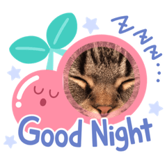 [LINEスタンプ] スコティッシュのルークとレイア