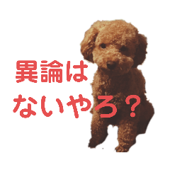 [LINEスタンプ] ジーニの日常会話