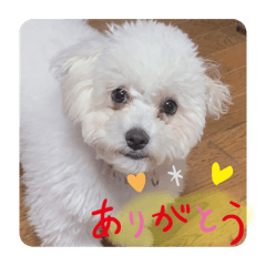 [LINEスタンプ] らんとダリ