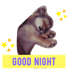 [LINEスタンプ] celo