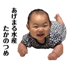 [LINEスタンプ] 改・ふじぬまさんち