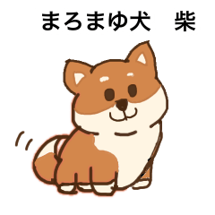 [LINEスタンプ] まろまゆ犬 柴