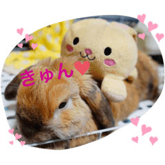 [LINEスタンプ] ろい吉3