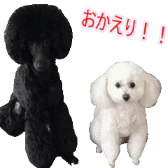 [LINEスタンプ] ネロとチビの愛犬スタンプ