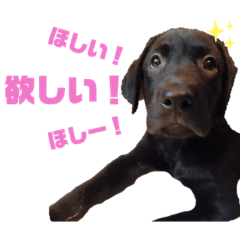 [LINEスタンプ] せぶのいもうと あるゔぁ