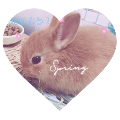 [LINEスタンプ] Love♡A＆A